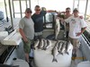 (05/07/2015) - Nice Striped Bass